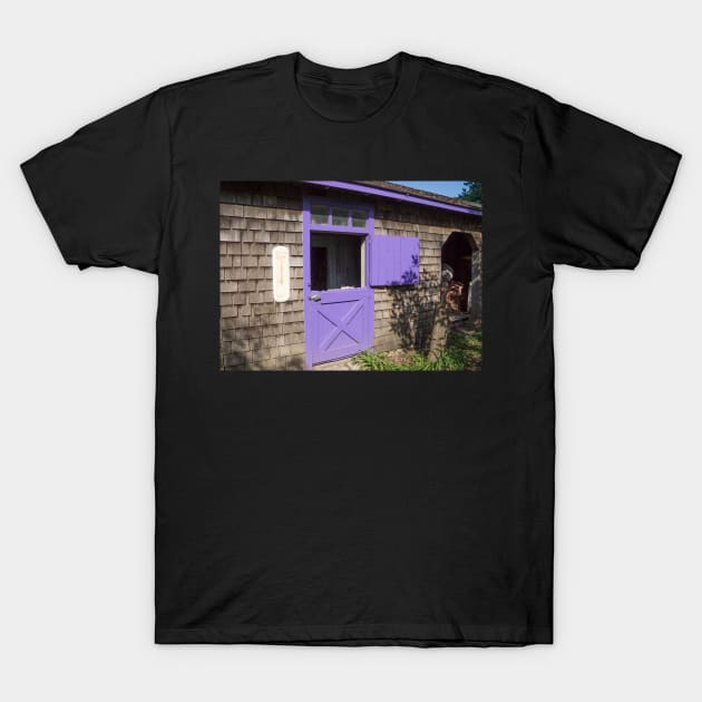 purple door T-Shirt by sma1050